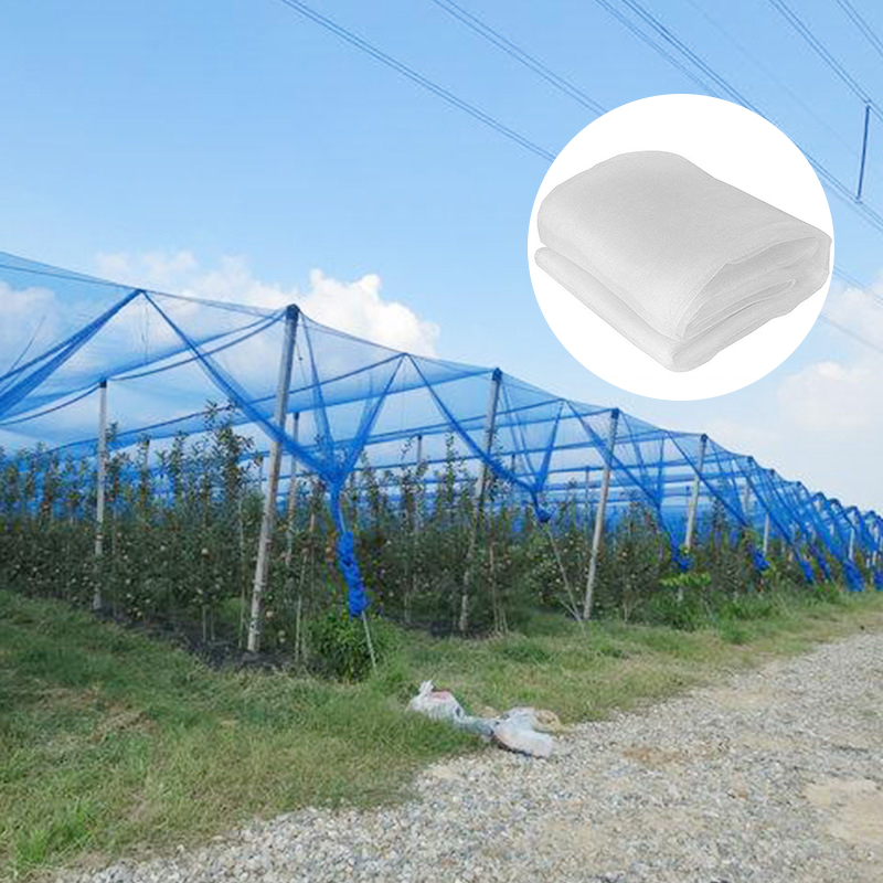 The Role Of Anti Insect Net