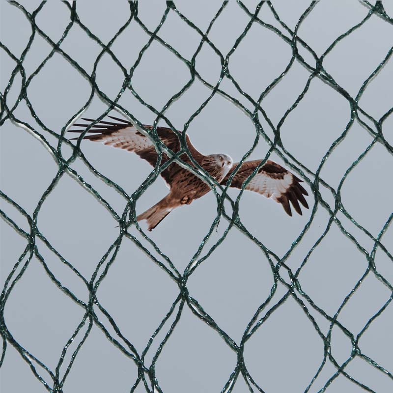 Ποιες είναι οι επιλογές υλικών και τα πλεονεκτήματα και τα μειονεκτήματα των διχτυών πρόληψης πτηνών;