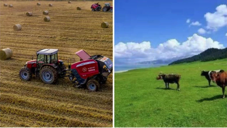 Εφαρμογή περιτυλίγματος δίχτυ δεμάτων σε αγροτικές δραστηριότητες