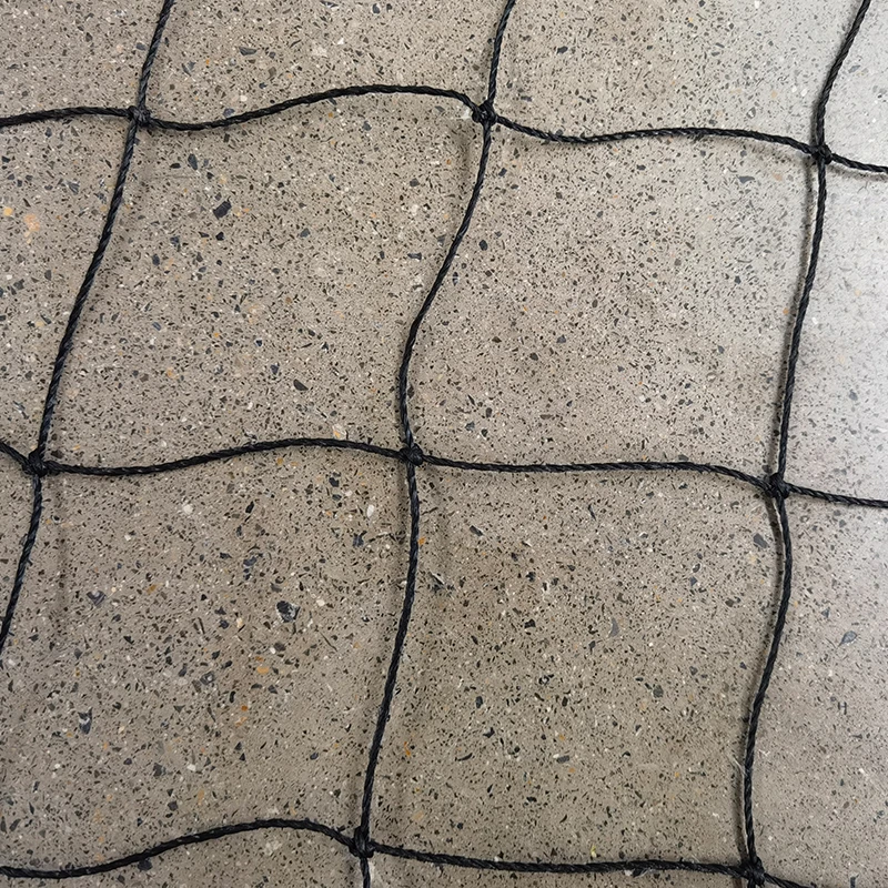 Ο ρόλος των διχτυών του κρίκετ