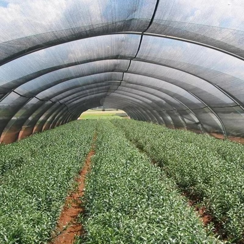 Είναι καλό το δροσιστικό αποτέλεσμα του υφάσματος σκιάς;