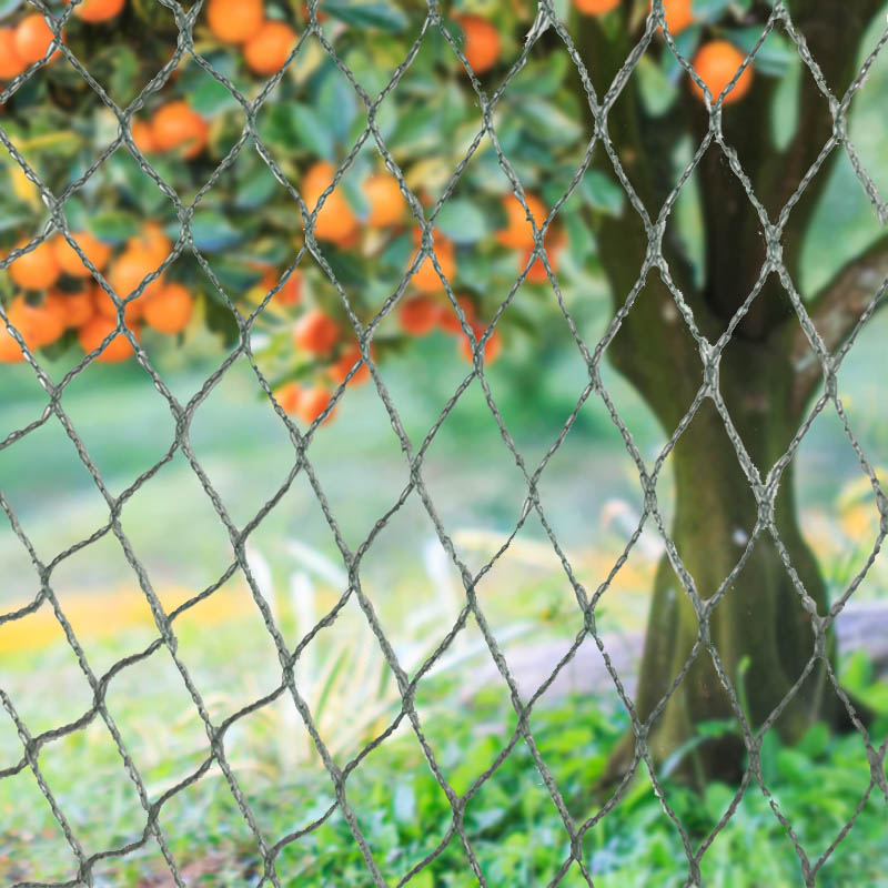 Προστατέψτε τις καλλιέργειες, την περιουσία και τις επενδύσεις σας με το βαρέως τύπου δίχτυ πτηνών!