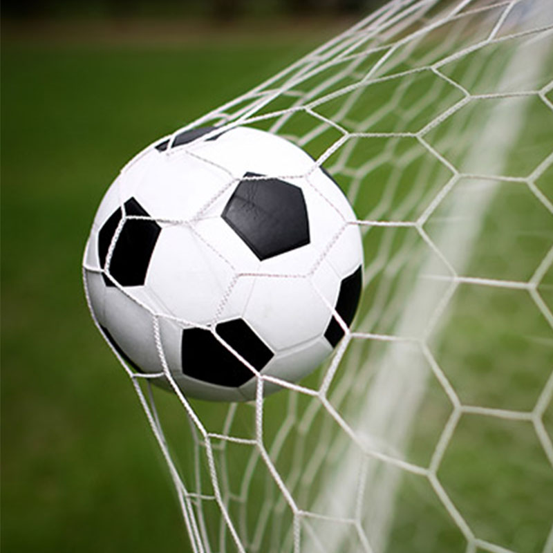 Δίχτυ γηπέδου ποδοσφαίρου